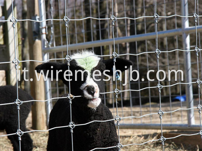 Galvanized Woven Field Fence